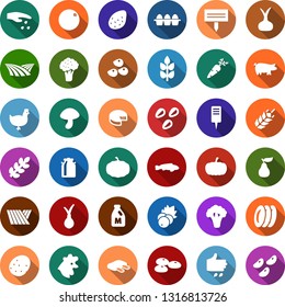 Color back flat icon set - spike vector, field, broccoli, seeds, sowing, milk, can, chicken, eggs, pig, ribs, fish, mushroom, berry, pumpkin, potato, onion, carrot, orange, pear, cheese, plates
