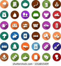 Color back flat icon set - field vector, leaf, rain, fertilizer, milk can, eggs, rabbit, fish, mushroom, hay, corn, tree, sproute, seedling, well, seeds, caterpillar, pond, watering, butterfly