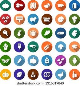 Color back flat icon set - spike vector, field, broccoli, seeds, sowing, milk can, chicken, eggs, pig, ham, mushroom, sausage, berry, pumpkin, potato, carrot, pear, corn, cheese, plates, plant label