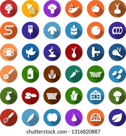 Color back flat icon set - spike vector, field, leaf, broccoli, seeds, milk, mushroom, onion, carrot, orange, pear, plum, fruit tree, corn, watering, sproute, plant label, greenhouse