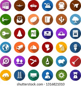 Color back flat icon set - pig vector, farm, harvester, coffee machine, alarm car, sun, plane, boarding, nose, mining, bitcoin search, ripper, rake, rain, garden light, bird house, ladder, watering