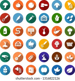 Color back flat icon set - spike vector, field, leaf, broccoli, seeds, sowing, milk, mushroom, onion, carrot, orange, plum, fruit tree, corn, watering, sproute, greenhouse, drip irrigation