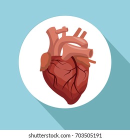 fondo de color con marco circular órgano del corazón cuerpo humano