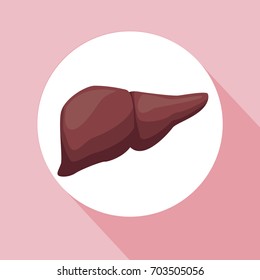 color background with circular frame liver organ human body