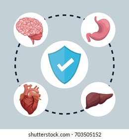 color background with circular frame shield check mark symbol and organs human body around