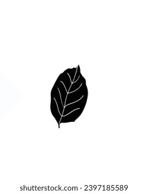 Color background frame painting drawing illustration hanbags icons frame