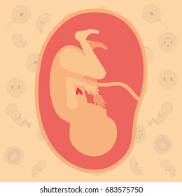 color background pattern pregnancy icons with fetus human growth in placenta ninth week vector illustration