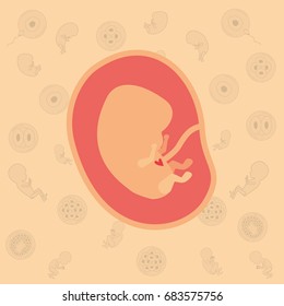 color background pattern pregnancy icons with fetus human embryo growth in placenta vector illustration