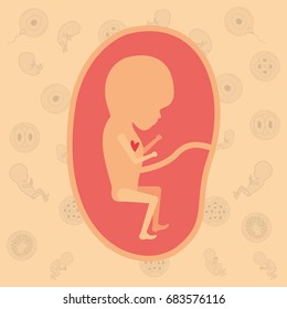 color background pattern pregnancy icons with fetus human growth in placenta trimestrer vector illustration
