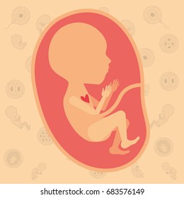 color background pattern pregnancy icons with fetus human growth in placenta semestrer vector illustration