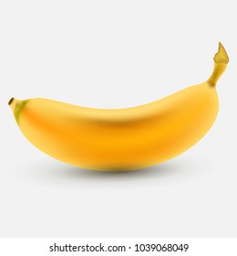 Color Banana fruit icon. Modern simple flat vegetarian sign. Eco food internet concept