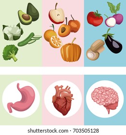 color banner poster vegetables and fruits with organs human body