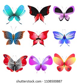 color beautiful butterflies, isolated on a white