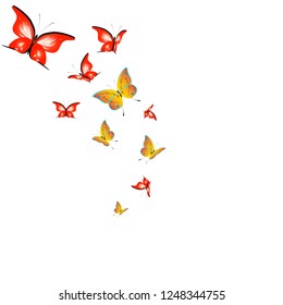 color beautiful butterflies, isolated on a white