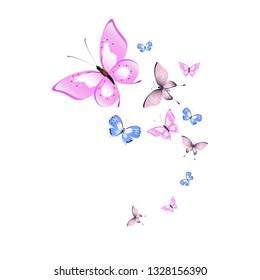 color beautiful butterflies, isolated on a white