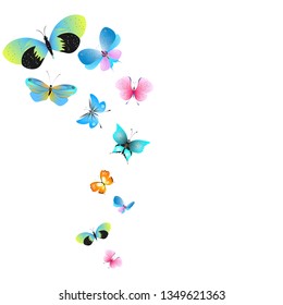 color beautiful butterflies, isolated on a white