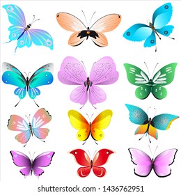 color beautiful butterflies, isolated on a white