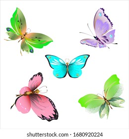 color beautiful butterflies, isolated on a white