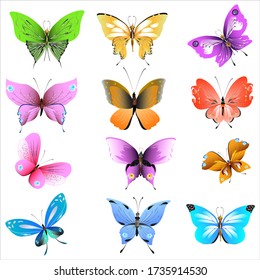 color beautiful butterflies, isolated on a white