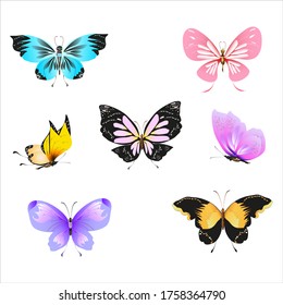 color beautiful butterflies, isolated on a white