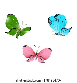 color beautiful butterflies, isolated on a white