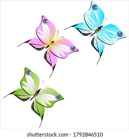 color beautiful butterflies, isolated on a white