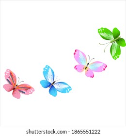 color beautiful butterflies, isolated on a white