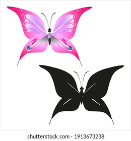 color beautiful butterflies, isolated on a white