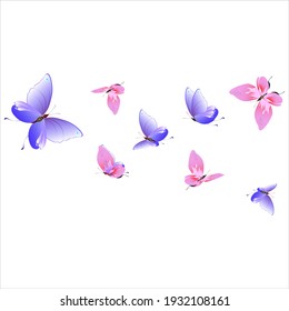color beautiful butterflies, isolated on a white