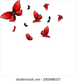 color beautiful butterflies, isolated on a white
