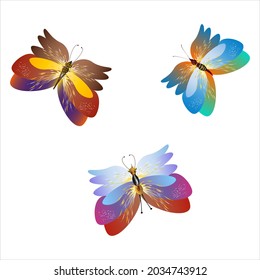 color beautiful butterflies, isolated on a white