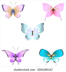 color beautiful butterflies, isolated on a white