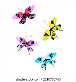 color beautiful butterflies, isolated on a white