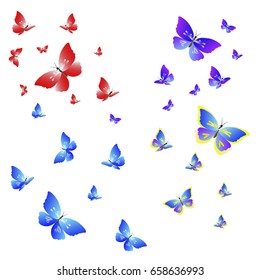 color beautiful butterflies, isolated on a white  