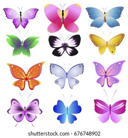 color beautiful butterflies, isolated on a white 