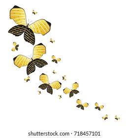 color beautiful butterflies, isolated on a white