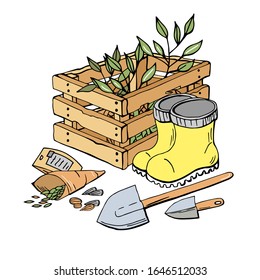 Color beautiful garden picture with wooden box, rubber boots, seeds, seedlings, shovels and greens, grass. Hand drawn vector for gardening decoration and design, garden fair, store, shop, market.