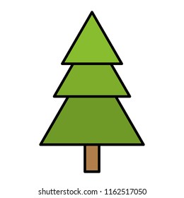 color beauty pine tree with style stalk