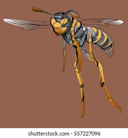 Color Bee, wasp flies forward painted in graphic style. Brown background