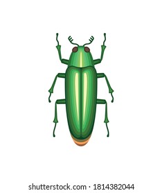 Color beetles icon, insect flat illustration