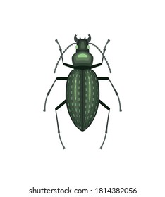 Icono de escarabajos de color, ilustración plana de insectos