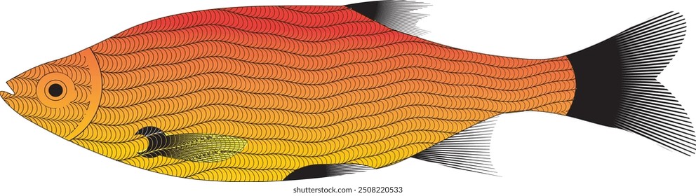 Color big Fish  in vector png eps file
