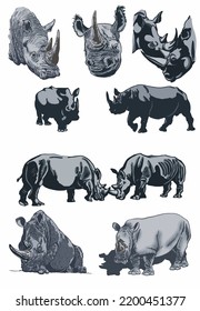 Color big set of rhinoceroses on white isolated, vector illustration,graphical drawing. Stylish print elements, savanna habitant