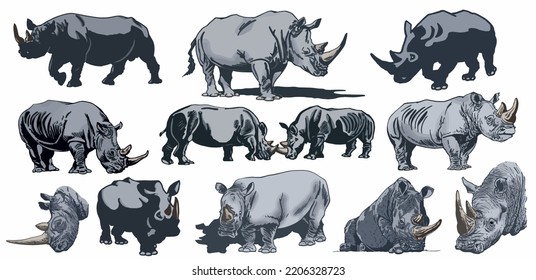 Color big set of rhinoceroses on white isolated, vector illustration,graphical drawing. Stylish print elements, savanna habitant