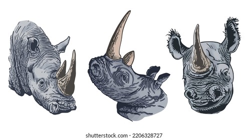 Color big set of rhinoceroses on white isolated, vector illustration,graphical drawing. Stylish print elements, savanna habitant