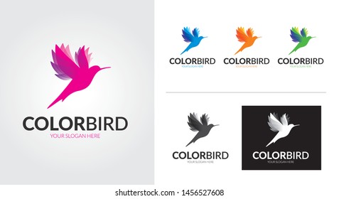 Color bird creative and minimalist logo template Set