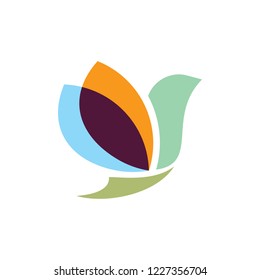 Color Bird Illustration