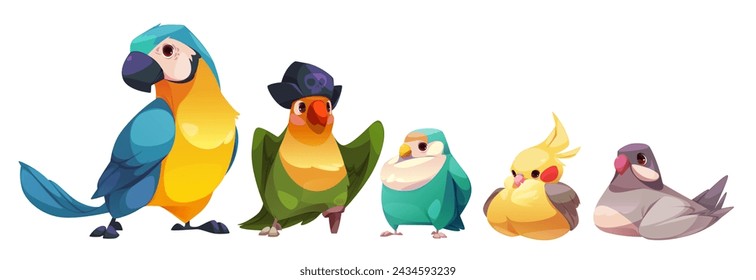 Color birds set isolated on white background. Vector cartoon illustration of exotic cockatoo parrot, comic feathered mascot in pirate hat, gray dove and yellow canary sitting, tropical design elements