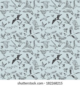 Color birds set seamless pattern The seamless pattern with big set of different wild birds. Isolated on gray background.  Vector illustration.