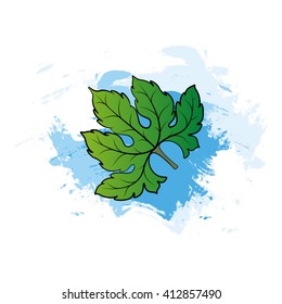 color bitter guard leaf over blue paint stroke vector illustration